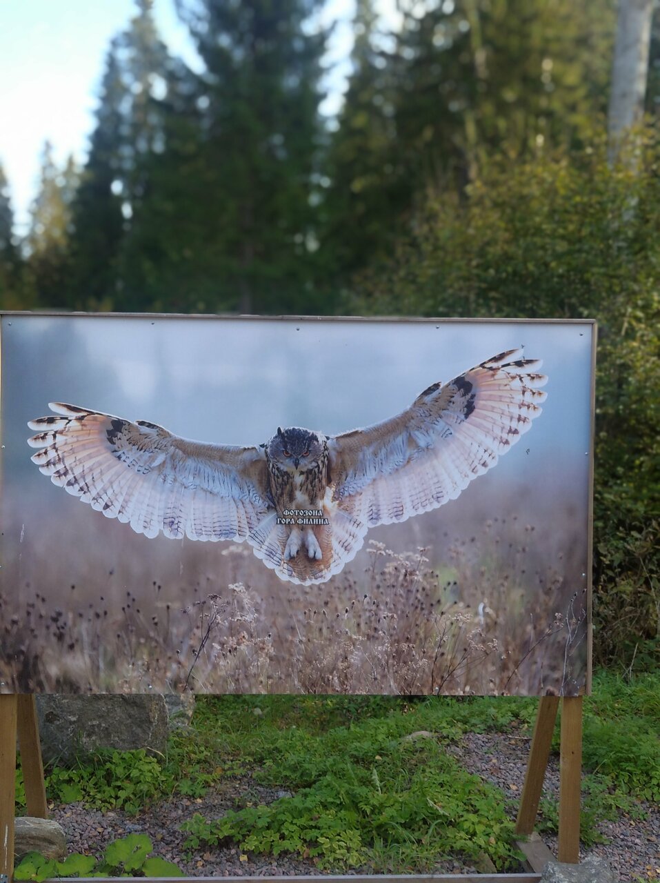 Гостиница Щучье озеро Лахденпохья-18