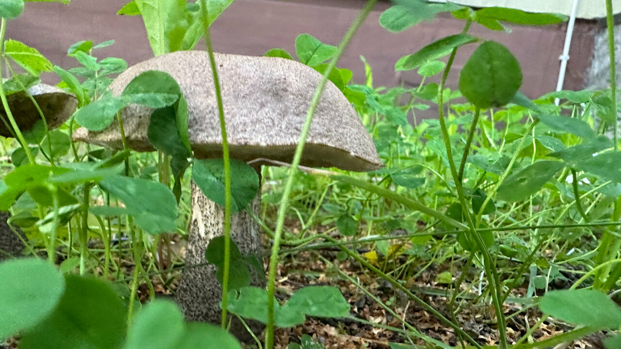 Гостиница Щучье озеро Лахденпохья-14