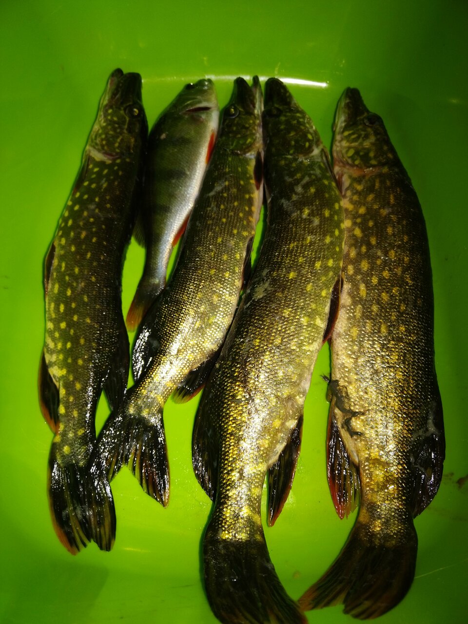 Гостиница Щучье озеро Лахденпохья-107