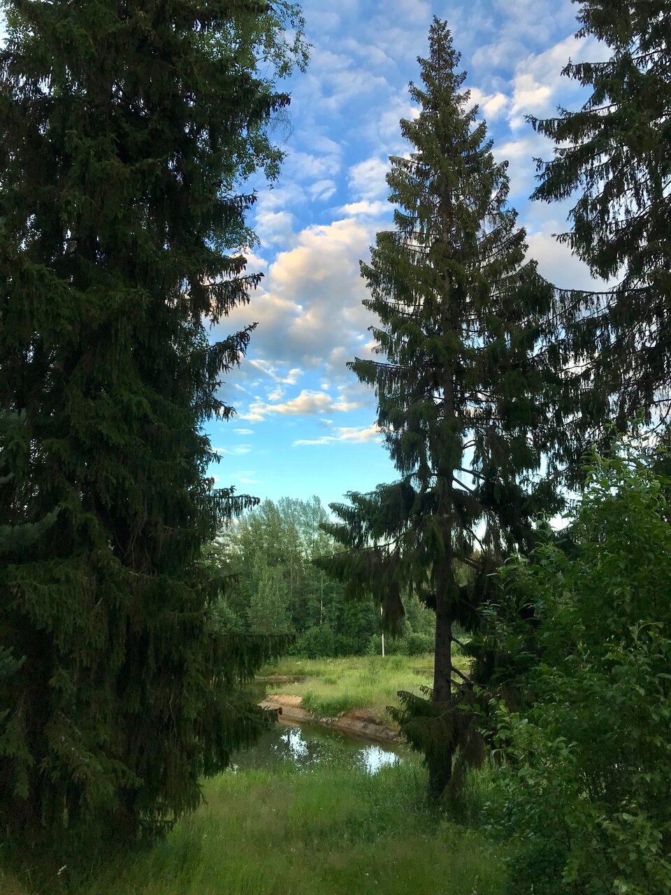 Гостиница Щучье озеро Лахденпохья-16