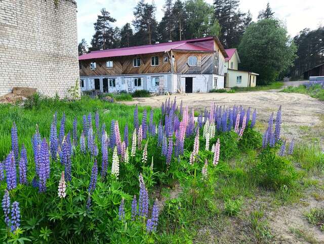 Гостиница Щучье озеро Лахденпохья-103