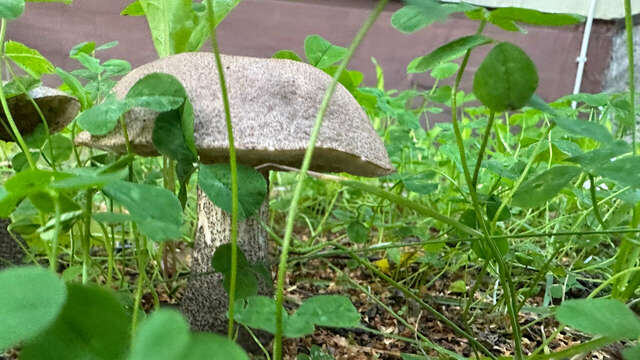 Гостиница Щучье озеро Лахденпохья-13